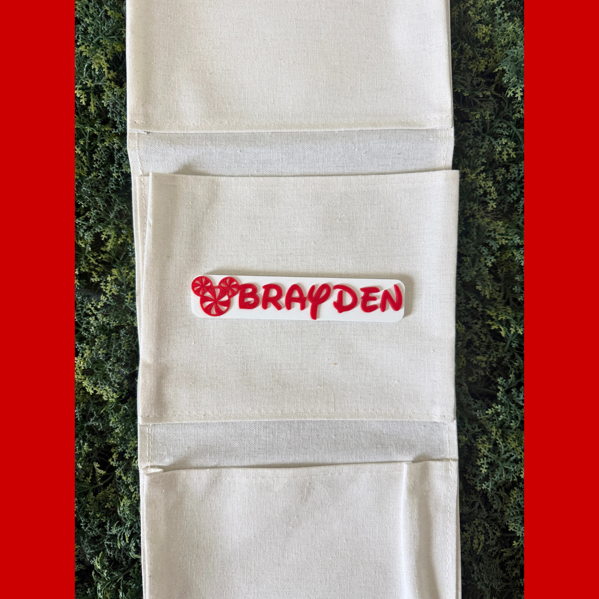 Disney Christmas Cruise Fish Extender