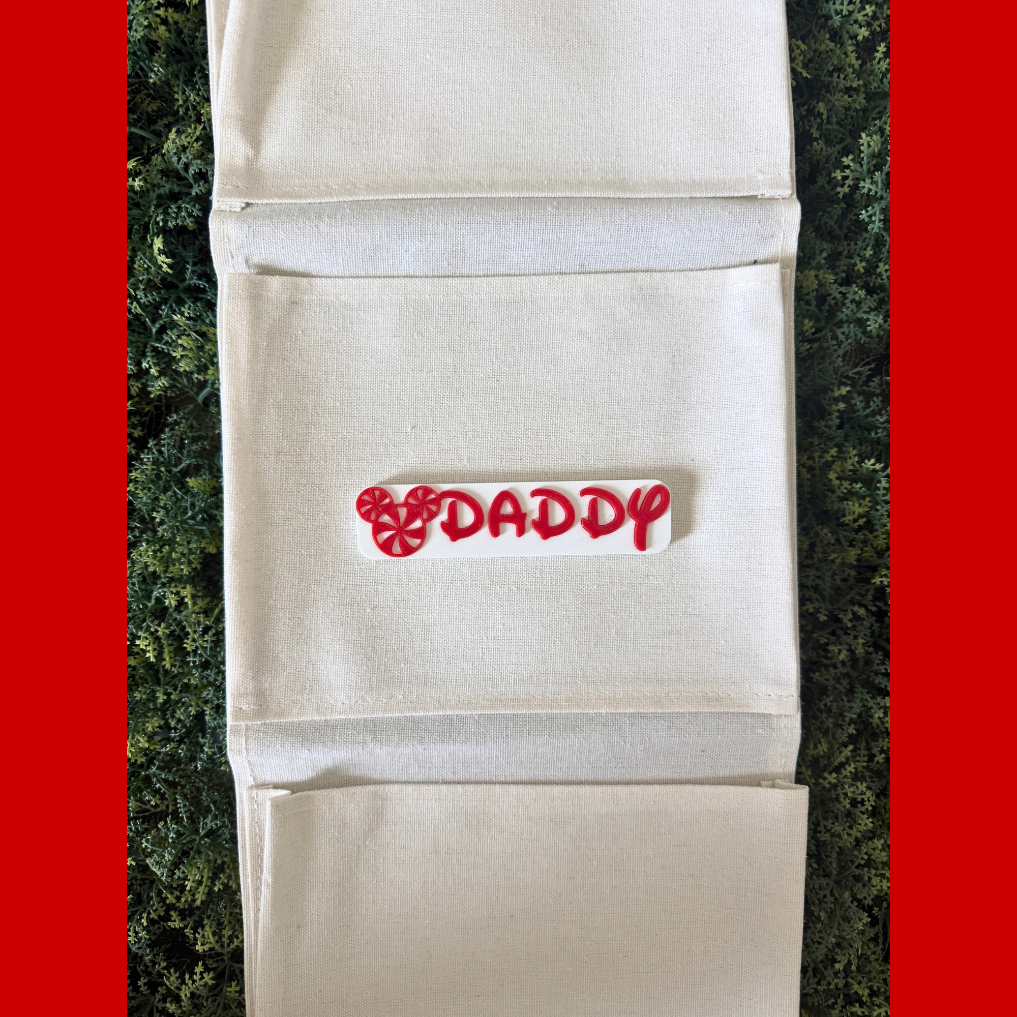 Disney Christmas Cruise Fish Extender